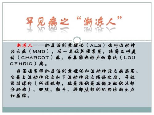 新药ppt
