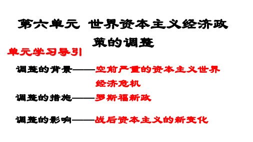 高中历史必修2《空前严重的资本主义世界经济危机》127人教PPT课件
