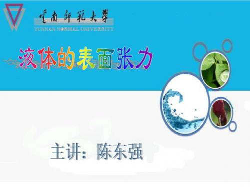 液体的表面张力