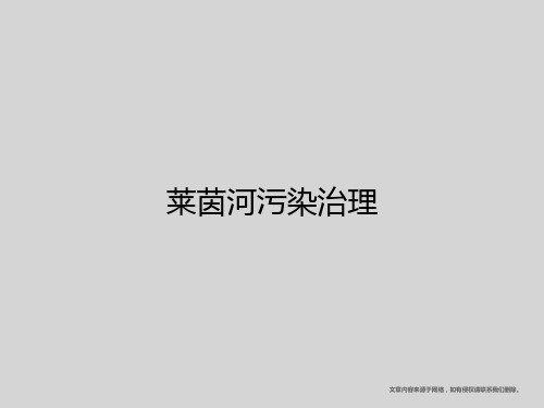 莱茵河污染治理