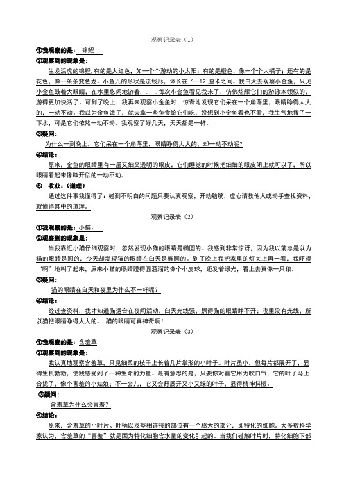 观察记录表(Word版)