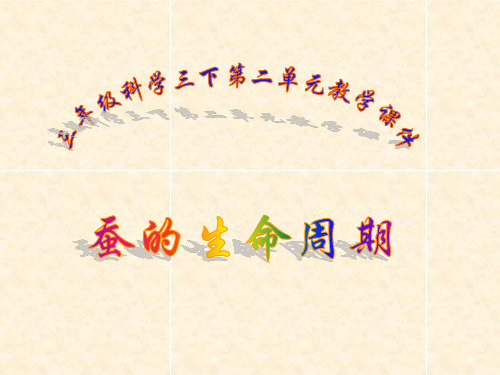 蚕的生活史