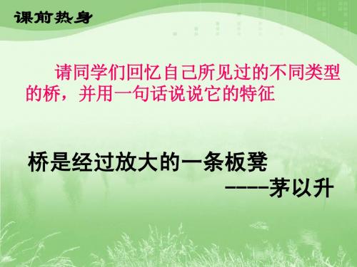 11_中国石拱桥(非常好用)