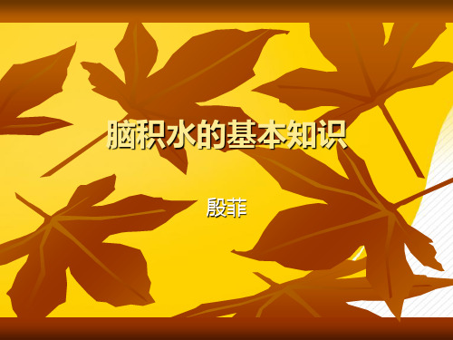 脑积水的基本知识优秀PPT资料