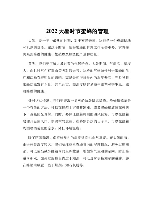 2022大暑时节蜜蜂的管理
