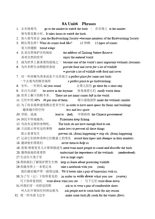 译林版英语 8A U6 词组