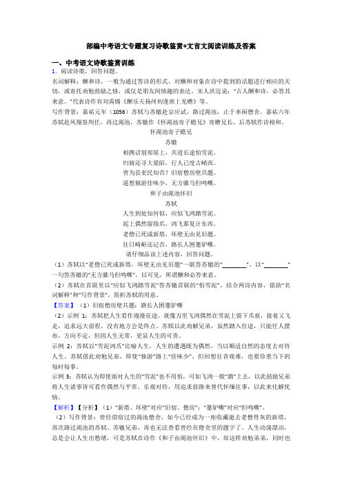 部编中考语文专题复习诗歌鉴赏+文言文阅读训练及答案