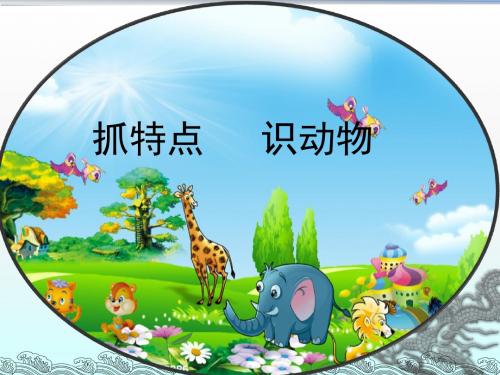 21《我叫黑脸琵鹭》ppt课件