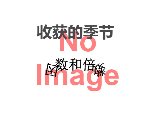 《收获的季节》PPT9  图文