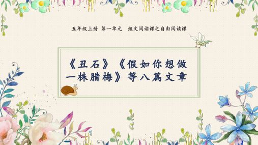 人教部编版五年级上册语文《丑石》课件
