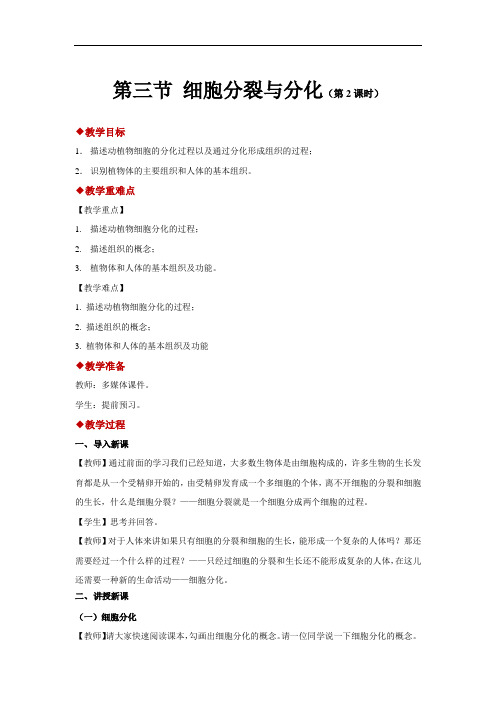 苏教版生物七年级上册：2.3.3细胞分裂与分化 -教案(1)