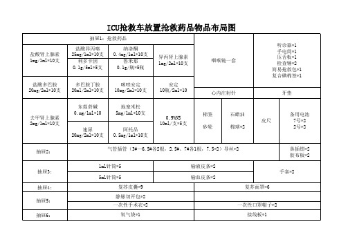 抢救车放置药品布置图