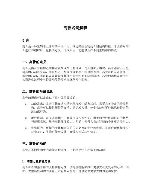 高骨名词解释