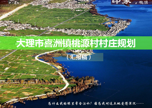 大理市喜洲镇桃源村村庄规划