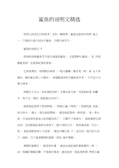鲨鱼的说明文精选