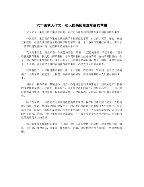 六年级秋天作文：秋天的果园里红彤彤的苹果