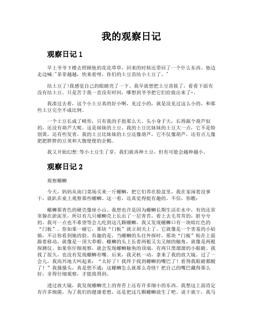 我的观察日记2