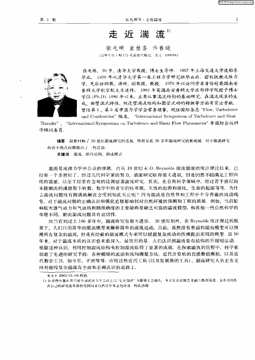 走近湍流