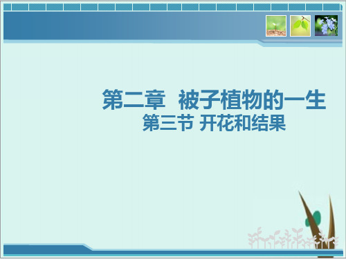 初中生物3.2.3 开花和结果 课件
