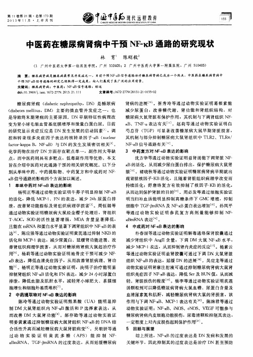 中医药在糖尿病肾病中干预NF-κB通路的研究现状