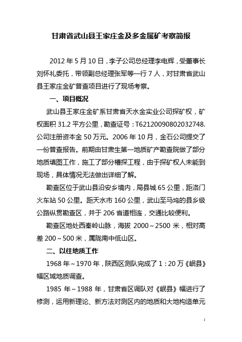 甘肃省武山县王家庄金及多金属矿考察简报