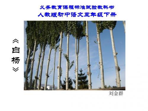 人教版小学语文五年级下册《白杨》_PPT课件