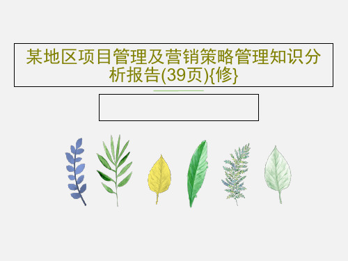 某地区项目管理及营销策略管理知识分析报告(39页){修}PPT共147页