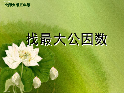 五年级下册数学课件-分数的意义和性质-人教新课标
