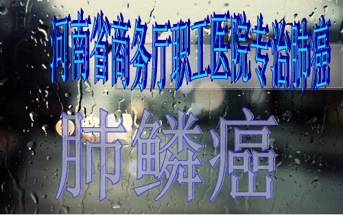 肺鳞癌治疗.ppt