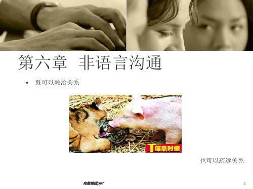 非语言沟通与沟通技巧ppt课件