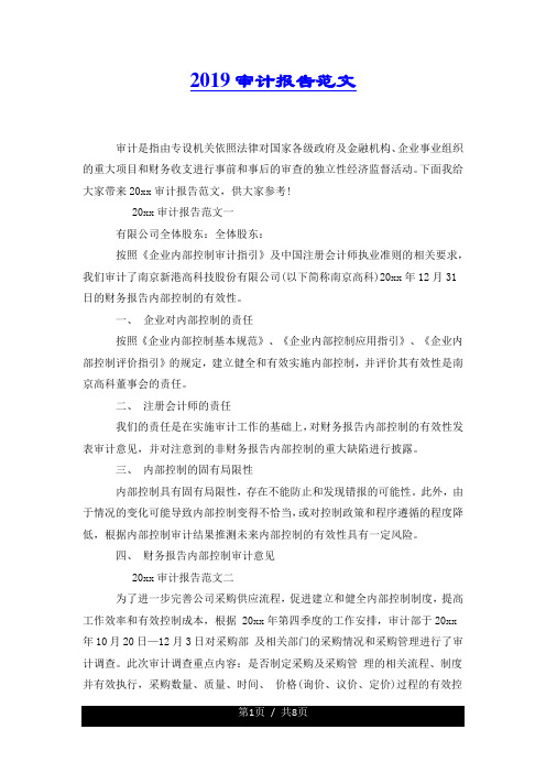 2019审计报告范文.docx