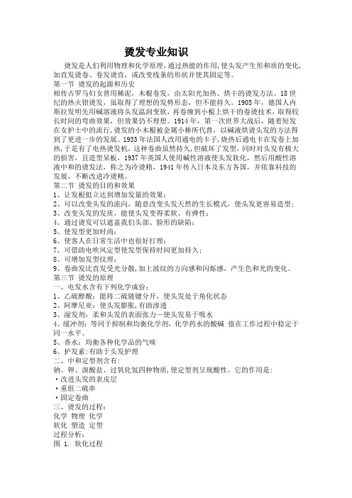 美发烫发专业知识