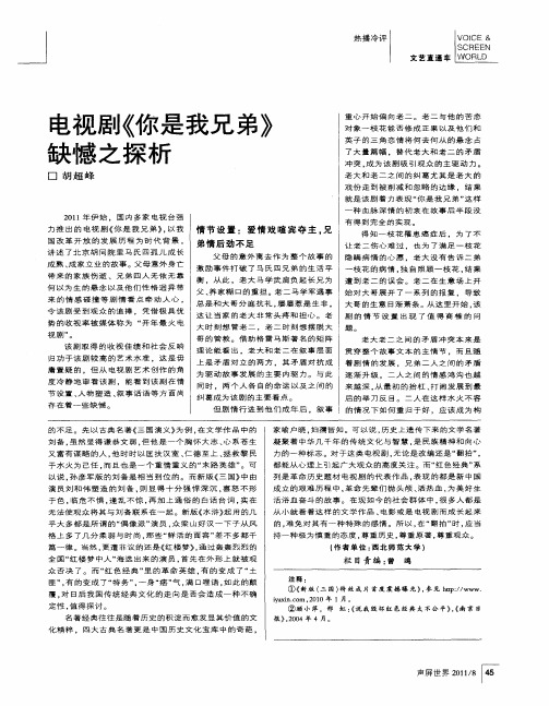 电视剧《你是我兄弟》缺憾之探析