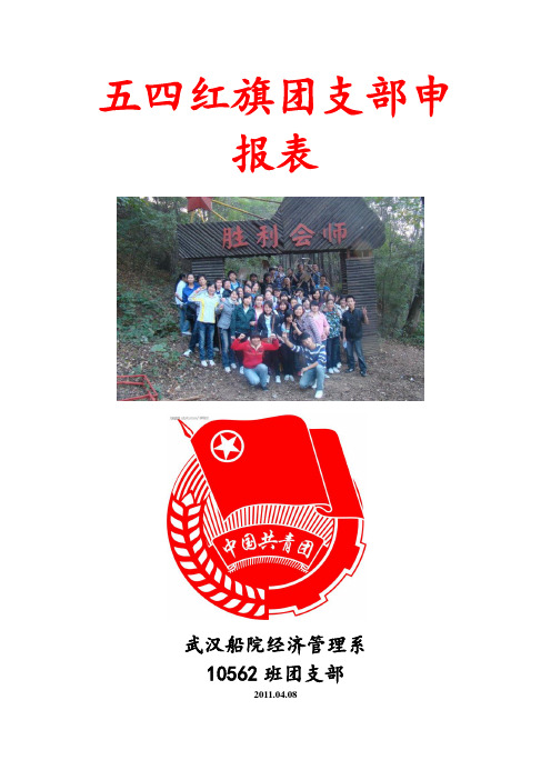 五四红旗团支部申报表