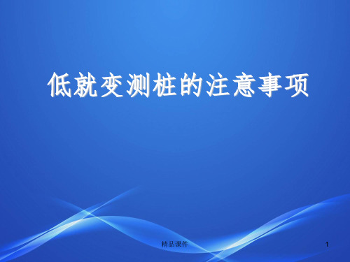 低应变测桩的注意事项完整ppt课件