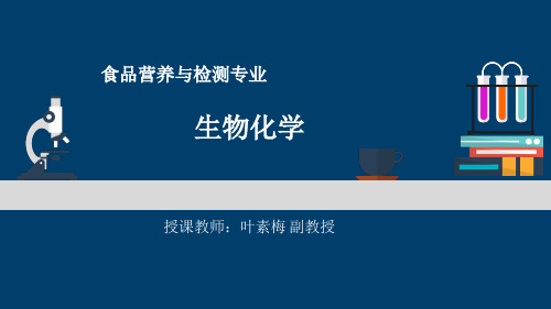 生物化学第六章 糖代谢