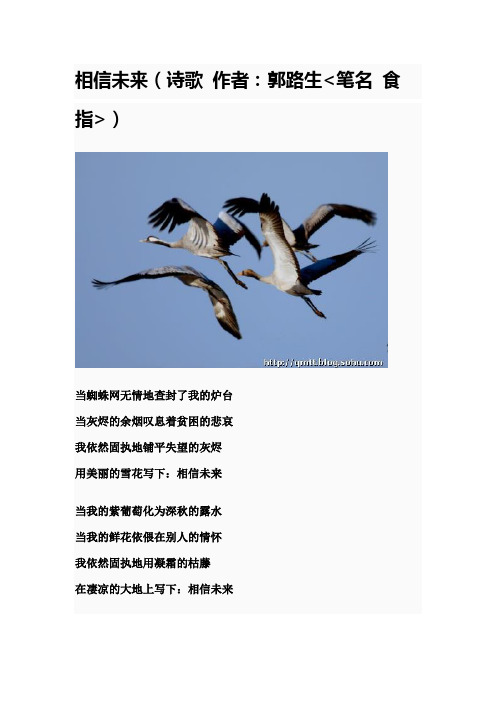 相信未来_诗歌