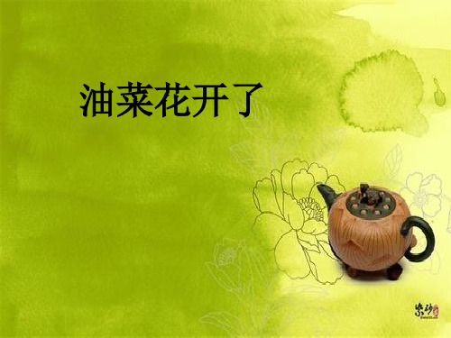 四年级下册科学课件PPT：油菜花开了 -教科版