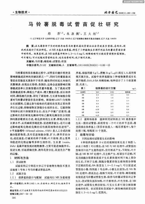 马铃薯脱毒试管苗促壮研究