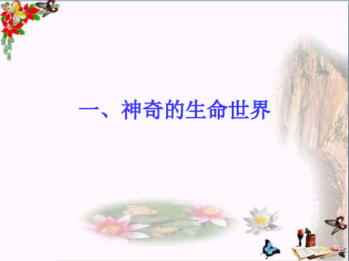 (人民版)神奇的生命世界 教学PPT课件