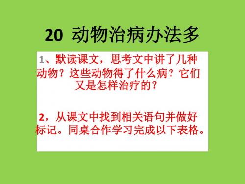 20  动物治病办法多