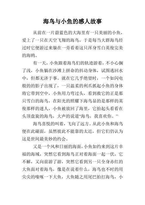 海鸟与小鱼的感人故事