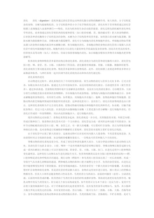 消化系统的进化