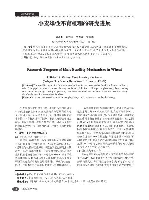 小麦雄性不育机理的研究进展