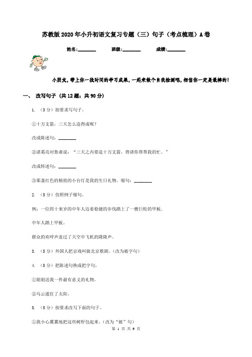 苏教版2020年小升初语文复习专题(三)句子(考点梳理)A卷