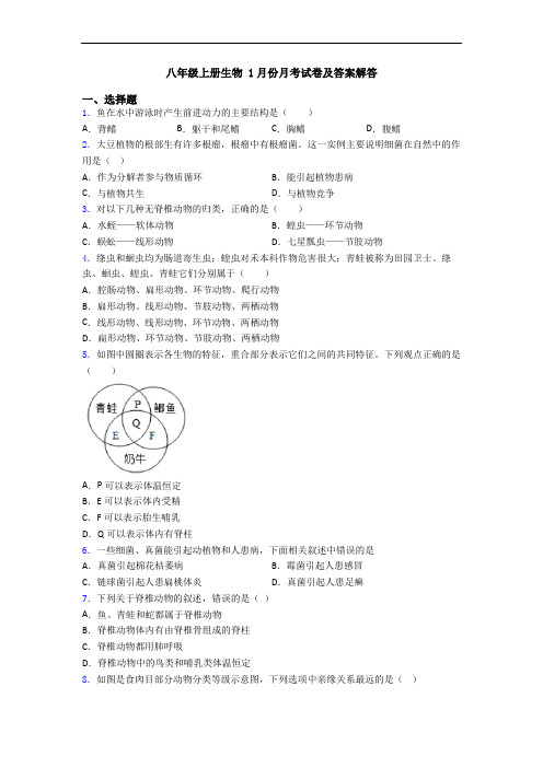 八年级上册生物 1月份月考试卷及答案解答