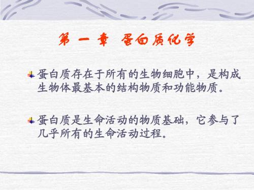 蛋白质化学1