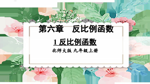 九年级数学上册1 反比例函数 (2)