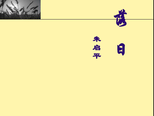 落日ppt9 苏教版最新公开课优选PPT课件