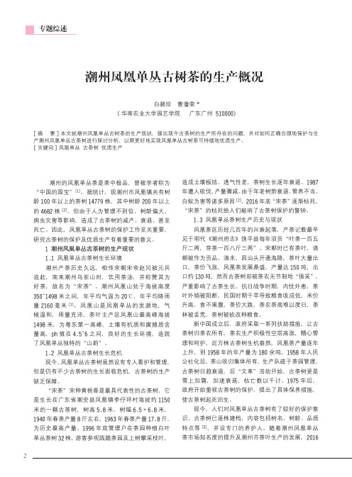 潮州凤凰单丛古树茶的生产概况